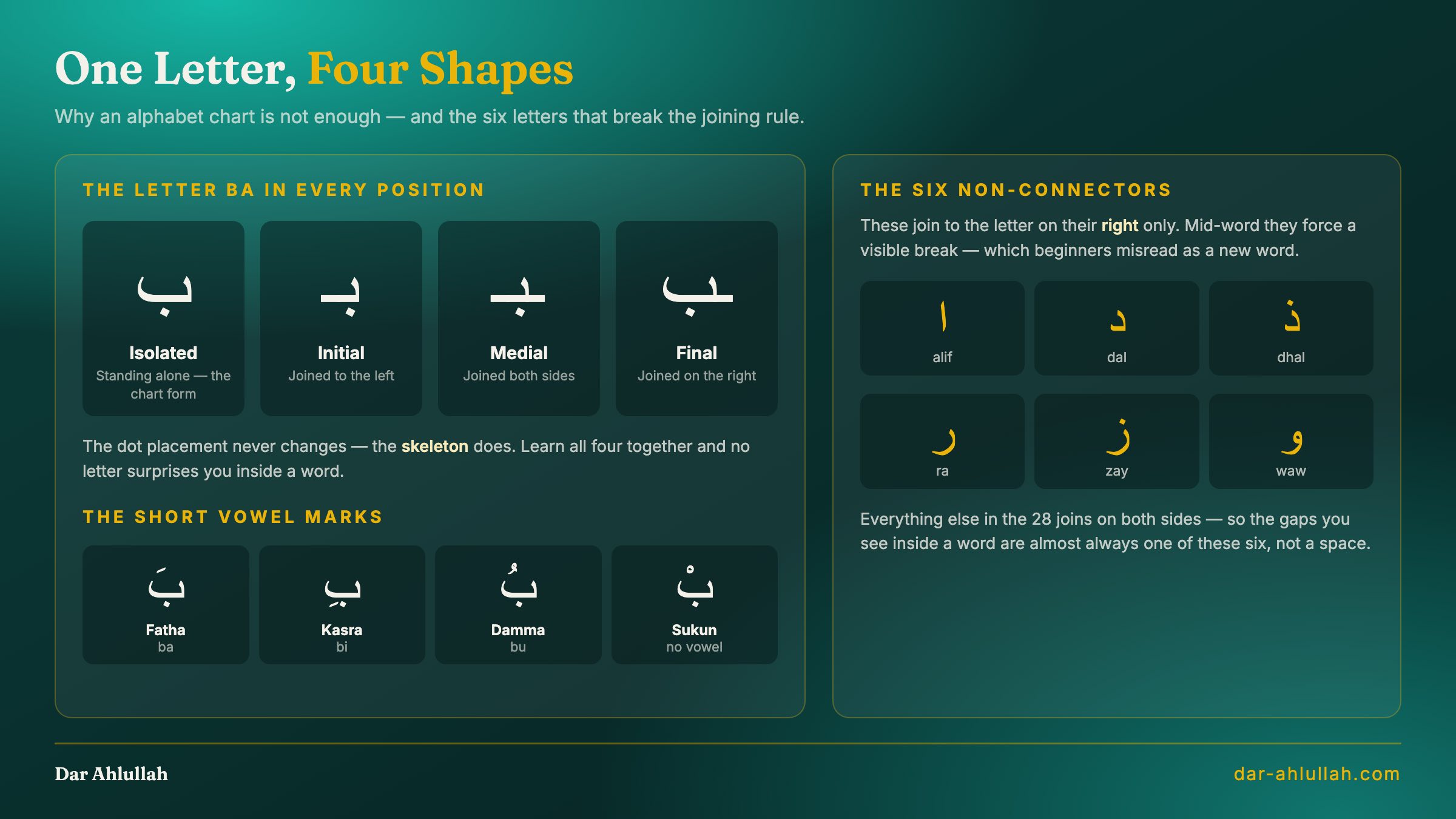 Infographic showing how the Arabic letter ba changes shape across its isolated, initial, medial and final positions, the six non-connecting letters alif dal dhal ra zay and waw, and the short vowel marks fatha kasra damma and sukun