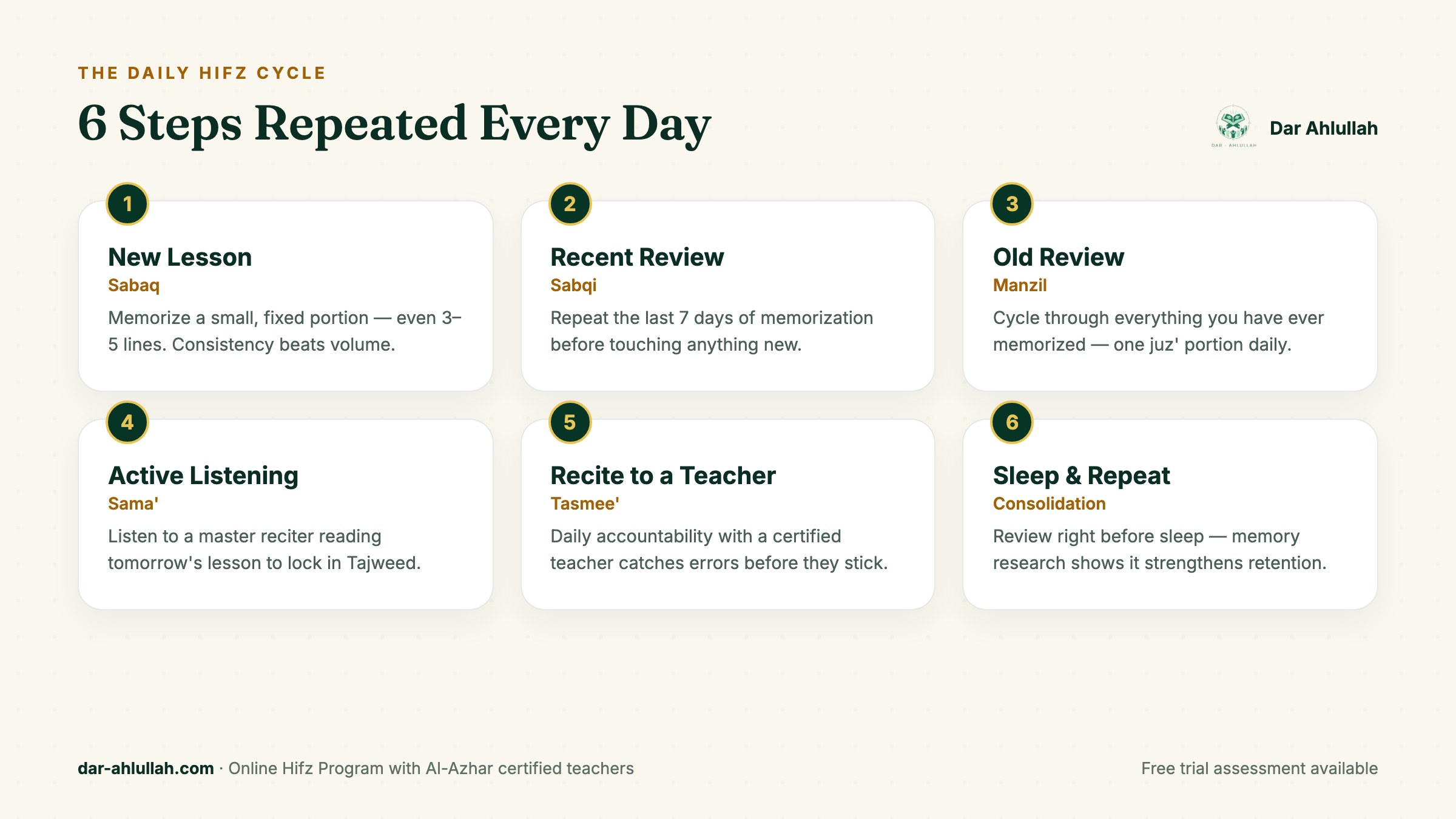 memorize Quran online - the 6-step daily Hifz cycle infographic: Sabaq, Sabqi, Manzil, listening, Tasmee, sleep consolidation