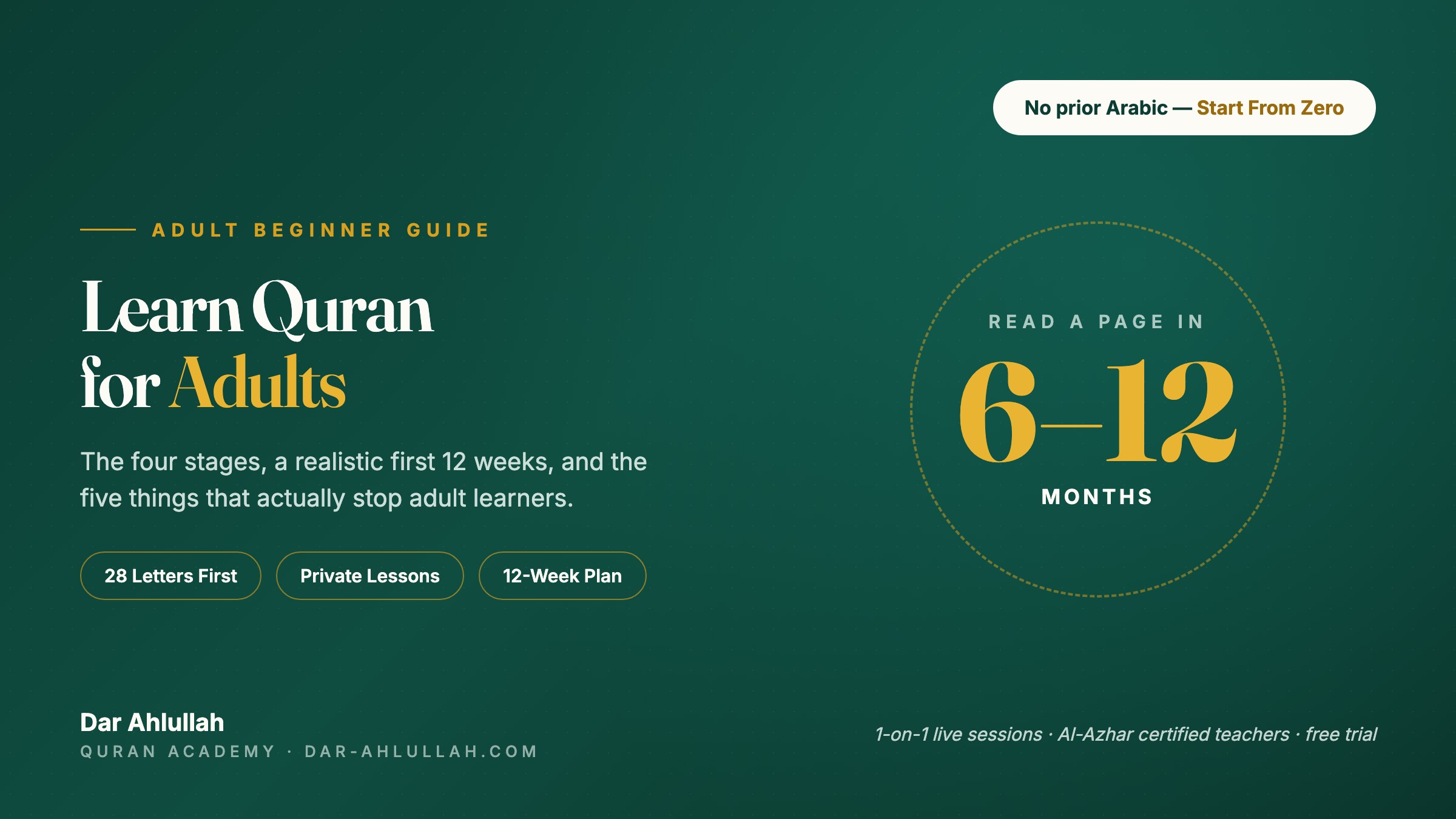 learn Quran for adults - adult beginner guide showing the four stages and a realistic 6-12 month timeline to read a page of the Mushaf